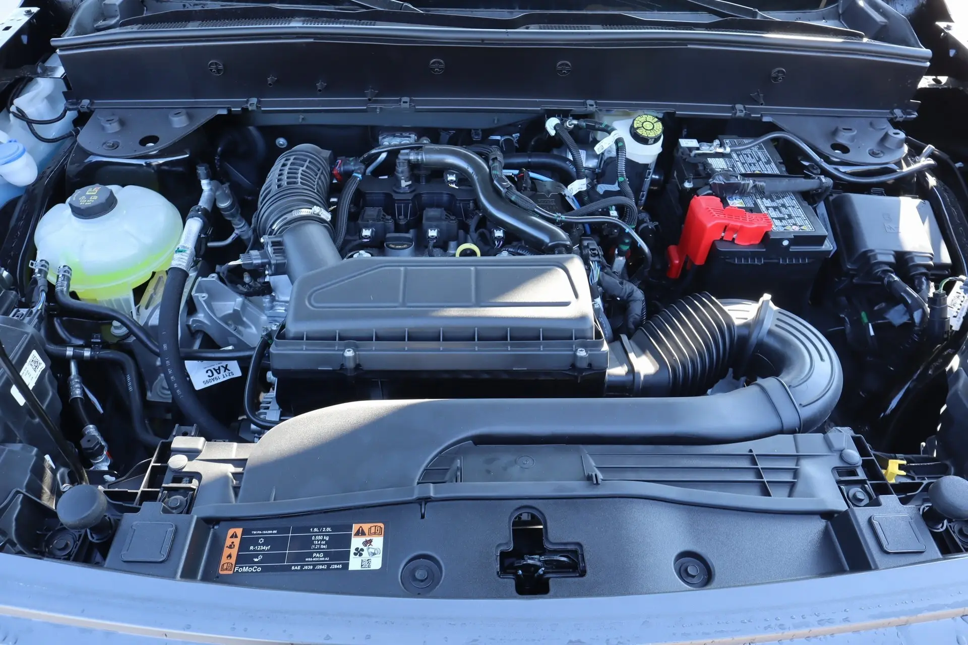 image-19
