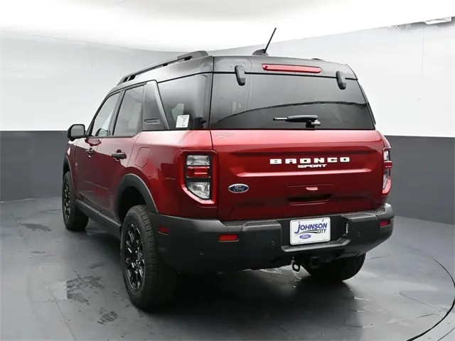 image-10