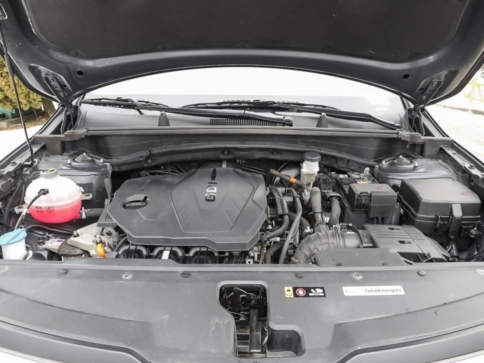 image-7