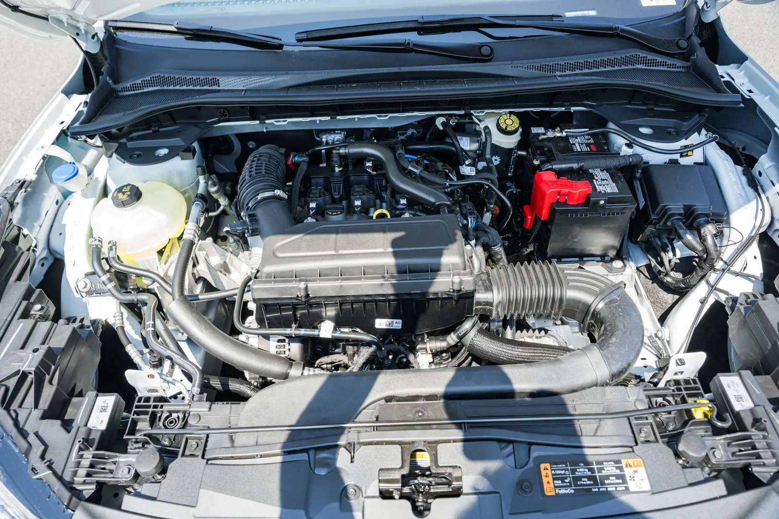 image-19