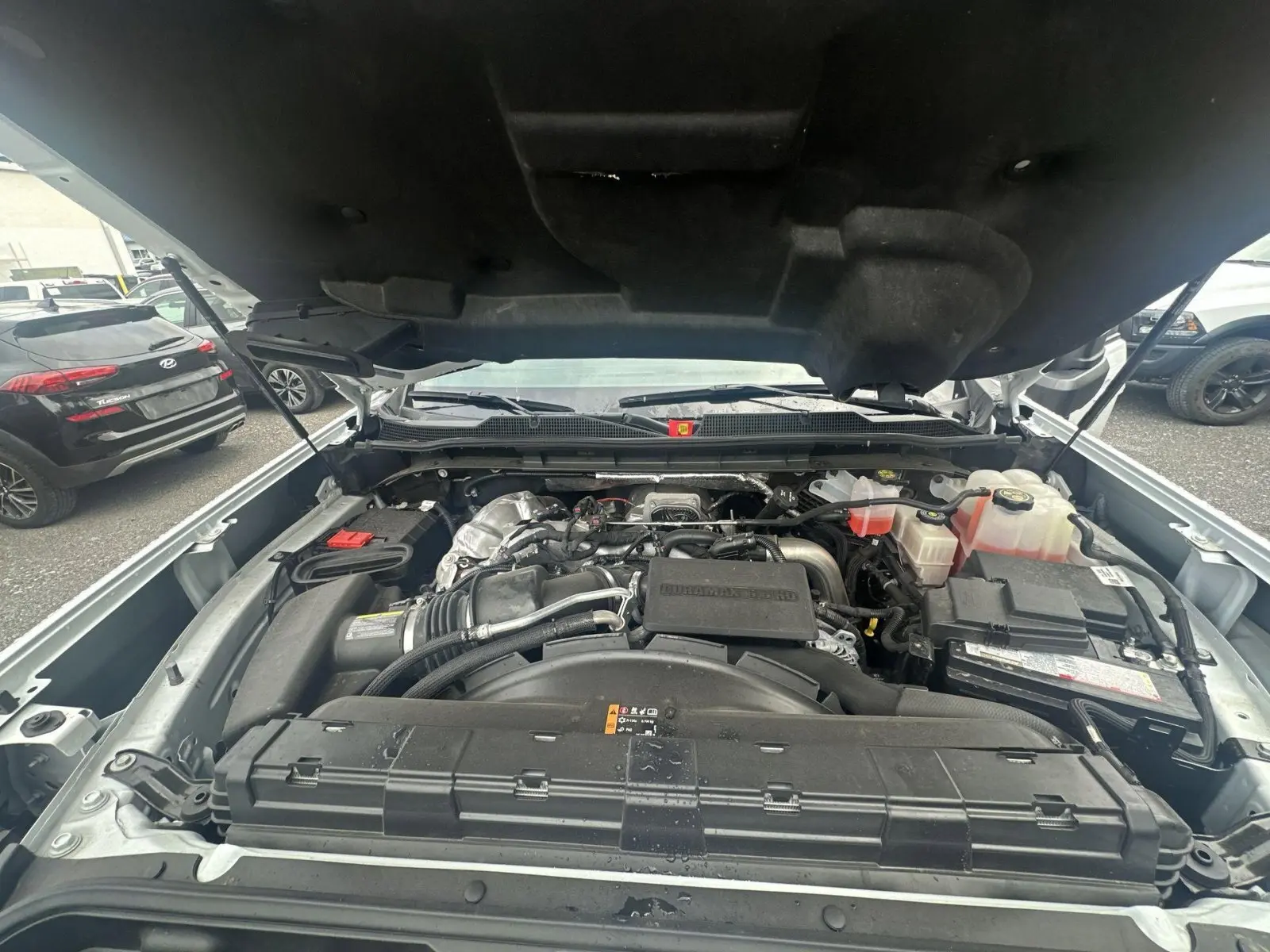 image-10
