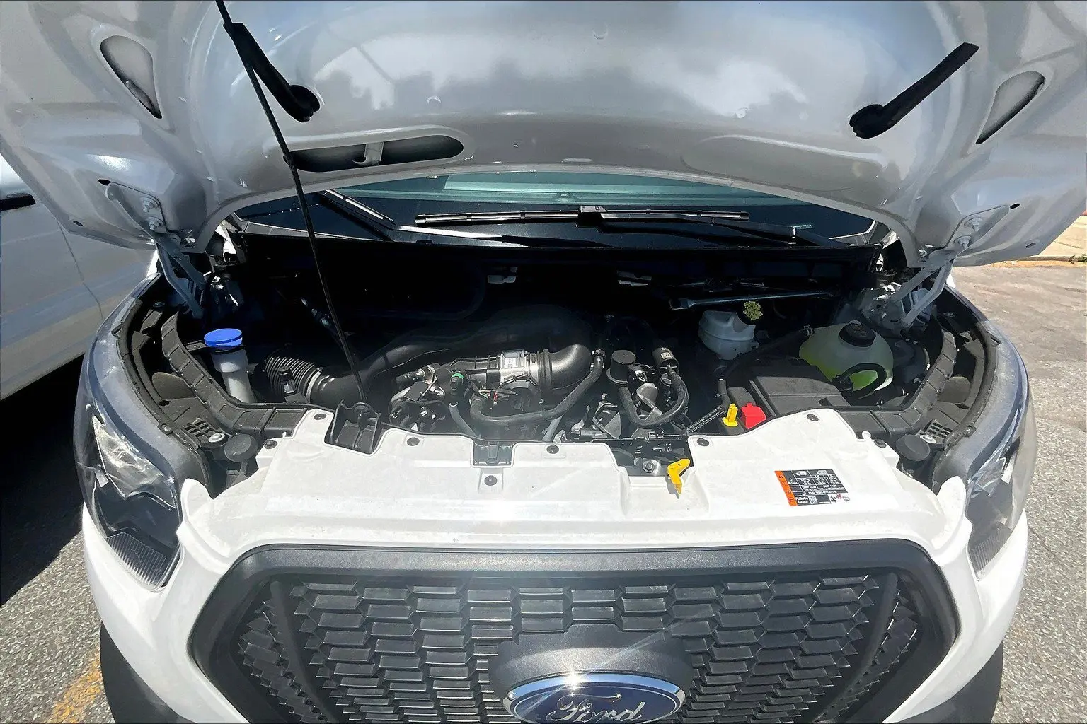 image-9