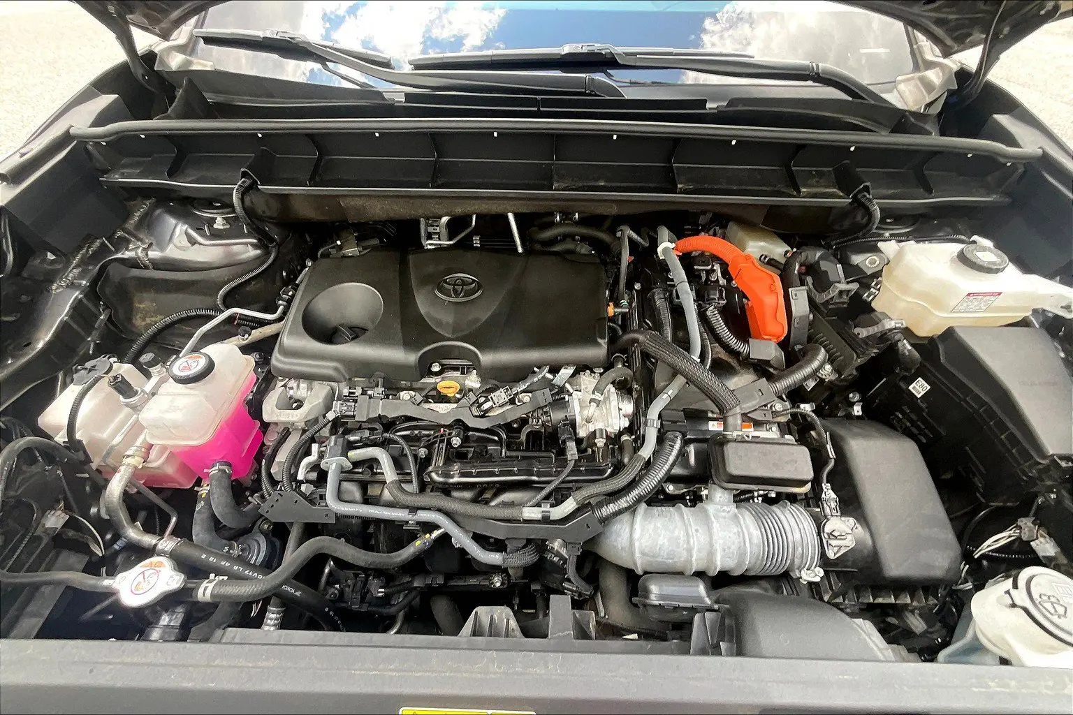 image-12