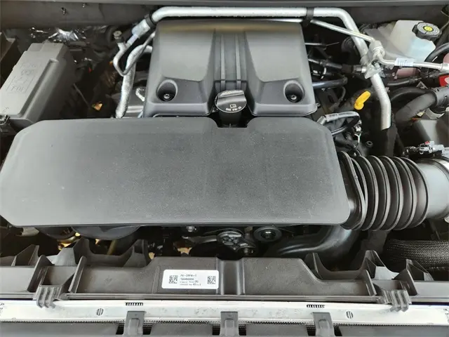 image-19