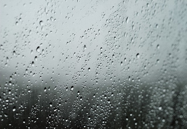 Rain on a tinted Window