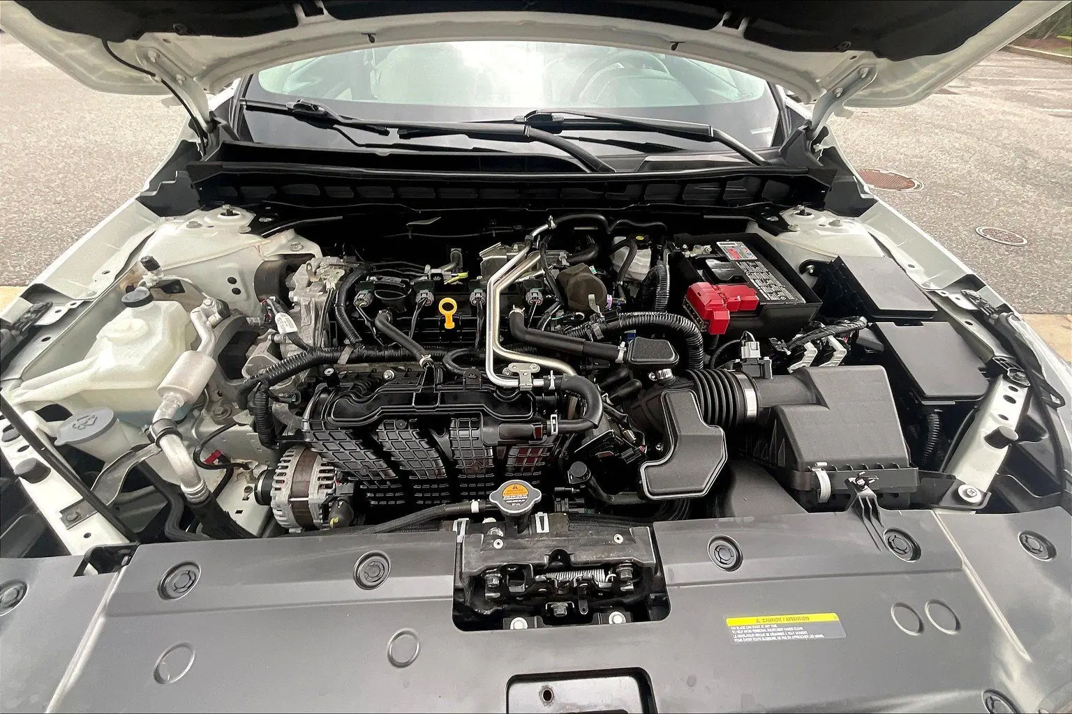 image-12