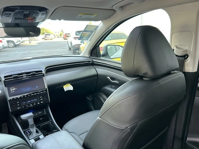 image-19