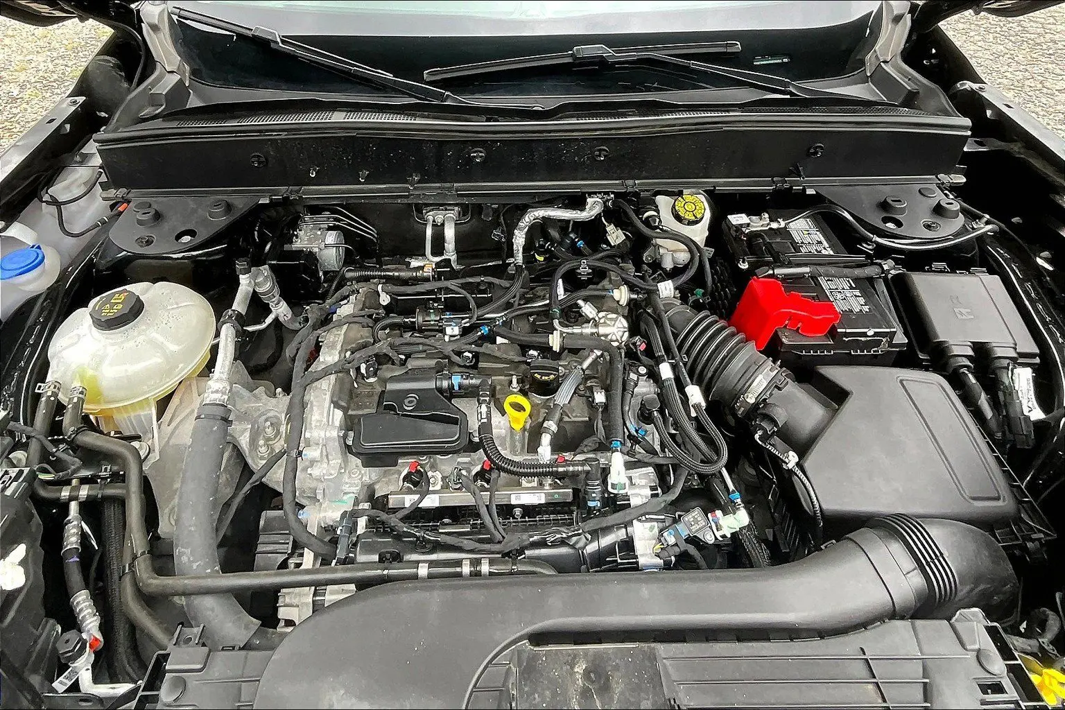 image-8