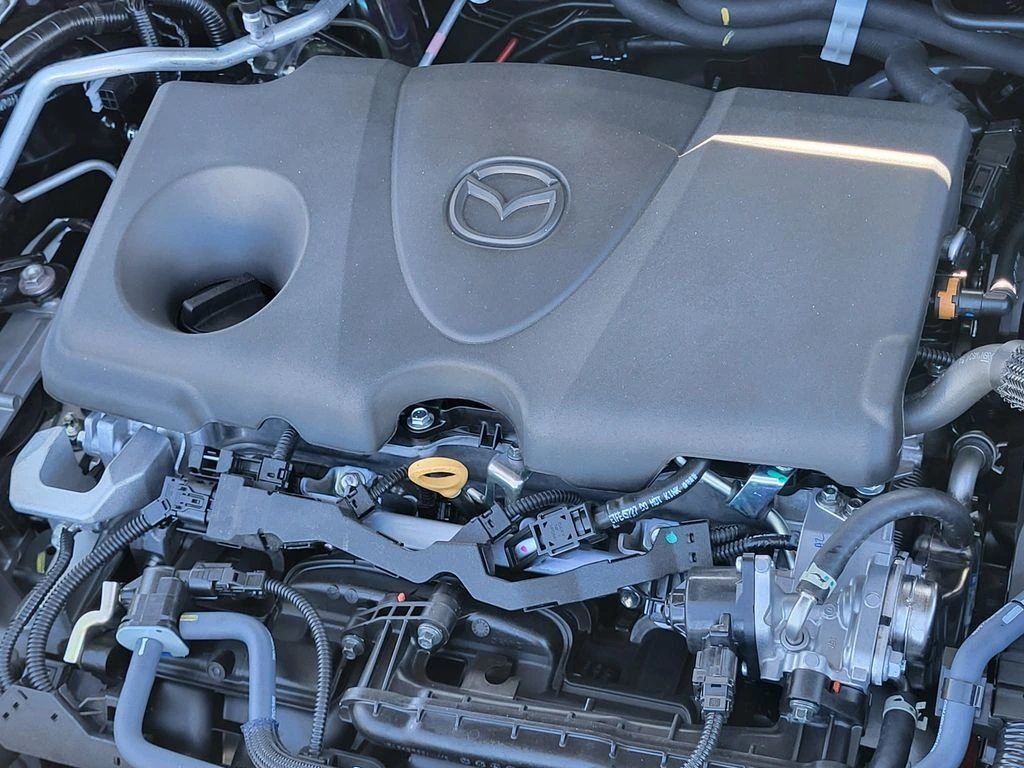 image-20