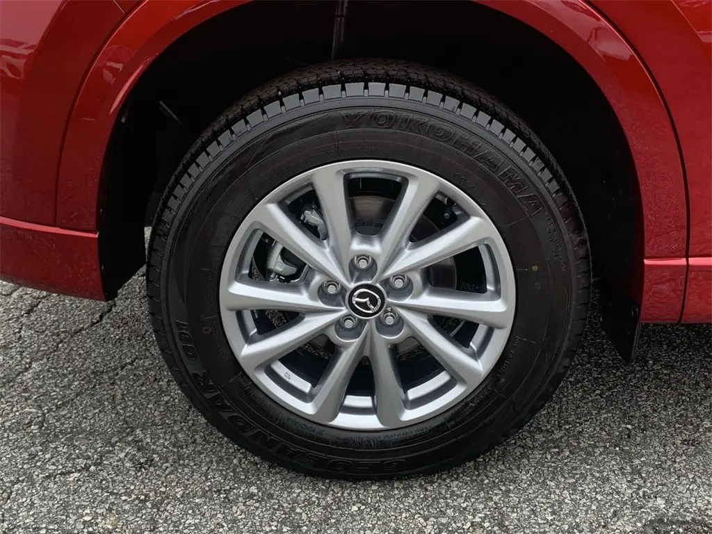 image-6