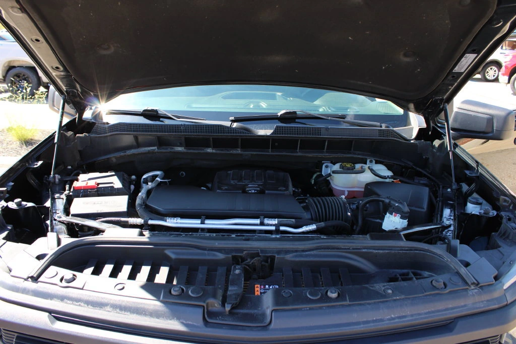 Photo 41