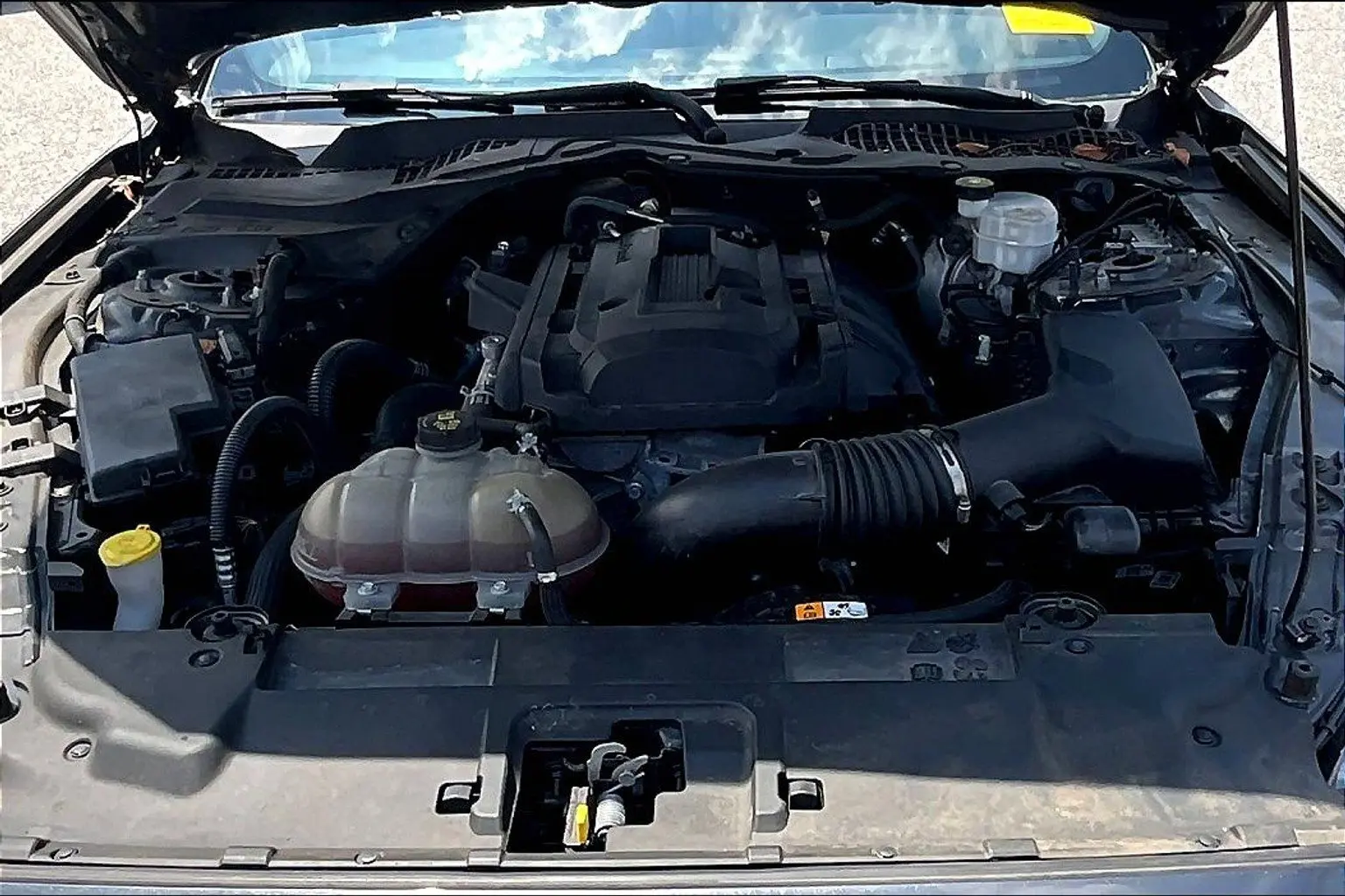image-9
