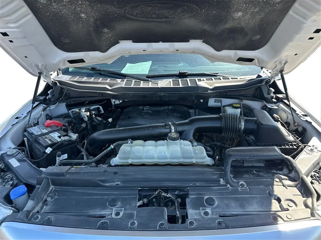 image-10