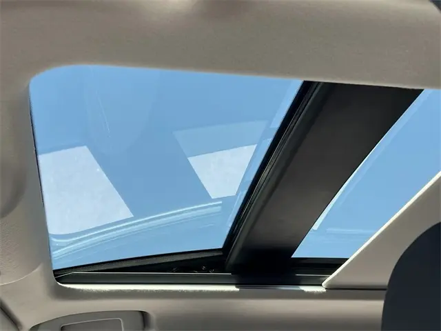 image-19