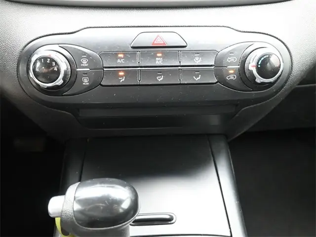 image-19