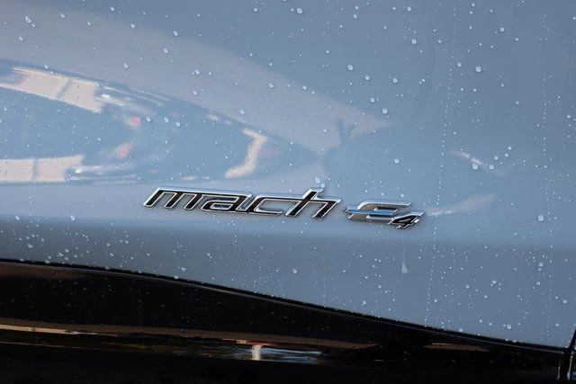 2025 Ford Mustang Mach-E GT - Photo 22