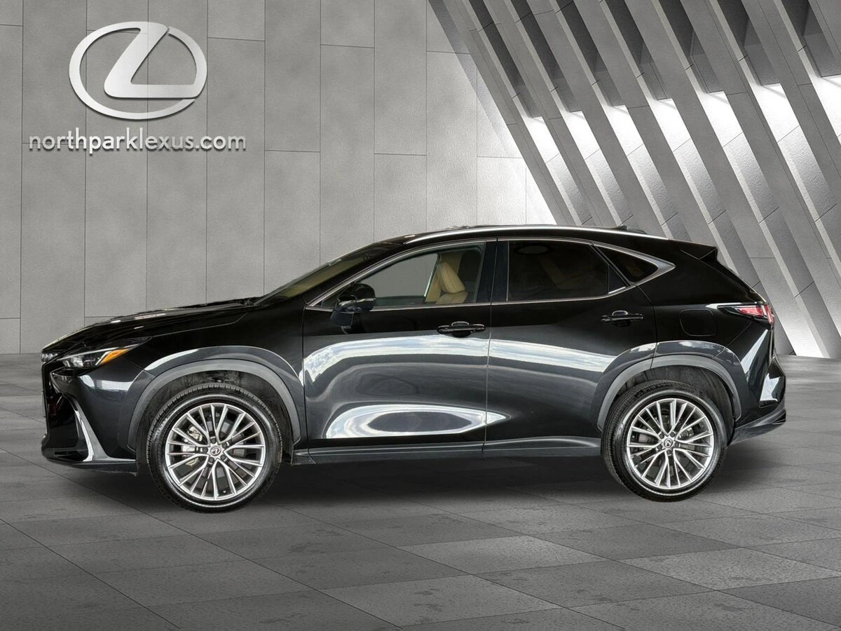 2025 Lexus NX