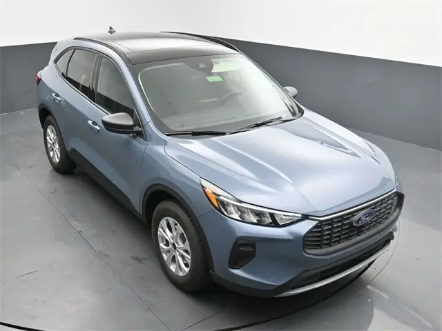 image-19