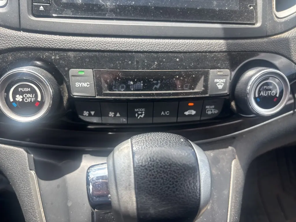 image-19