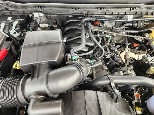 image-19