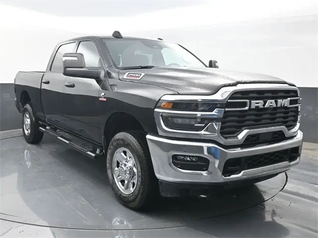 image-7