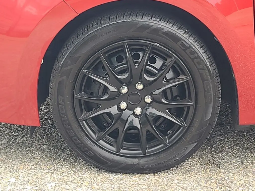 image-4