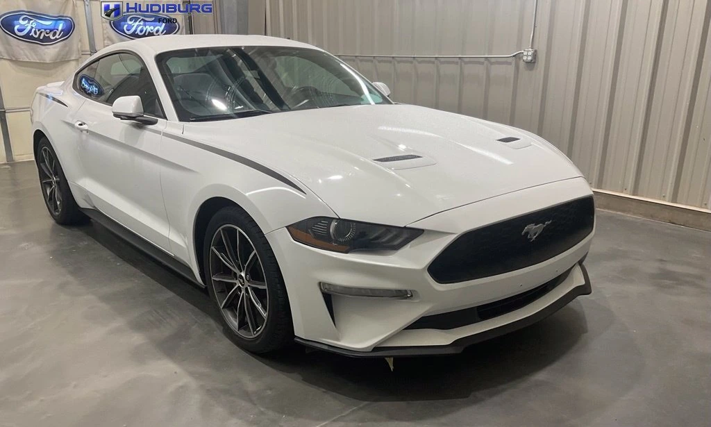 2019 Ford Mustang