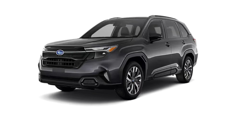 Magnetite Gray Metallic