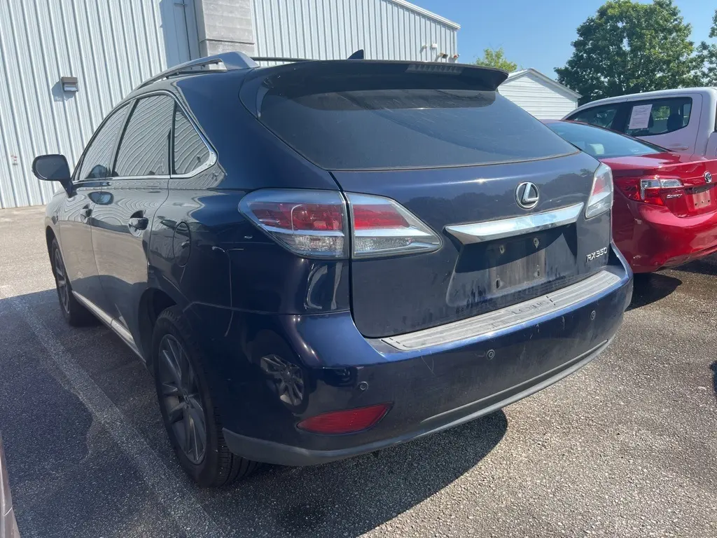 image-3