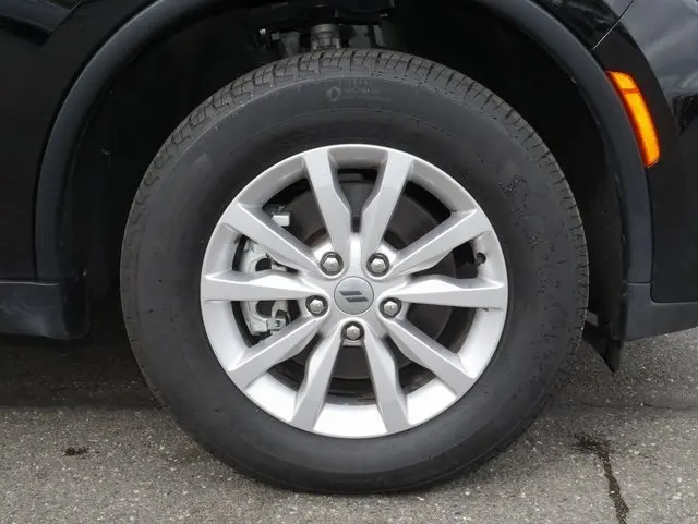 image-10