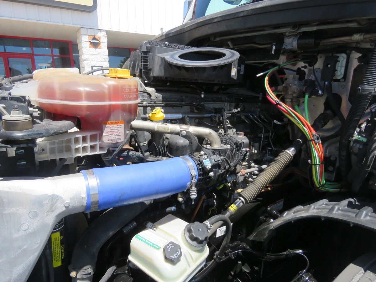 image-11