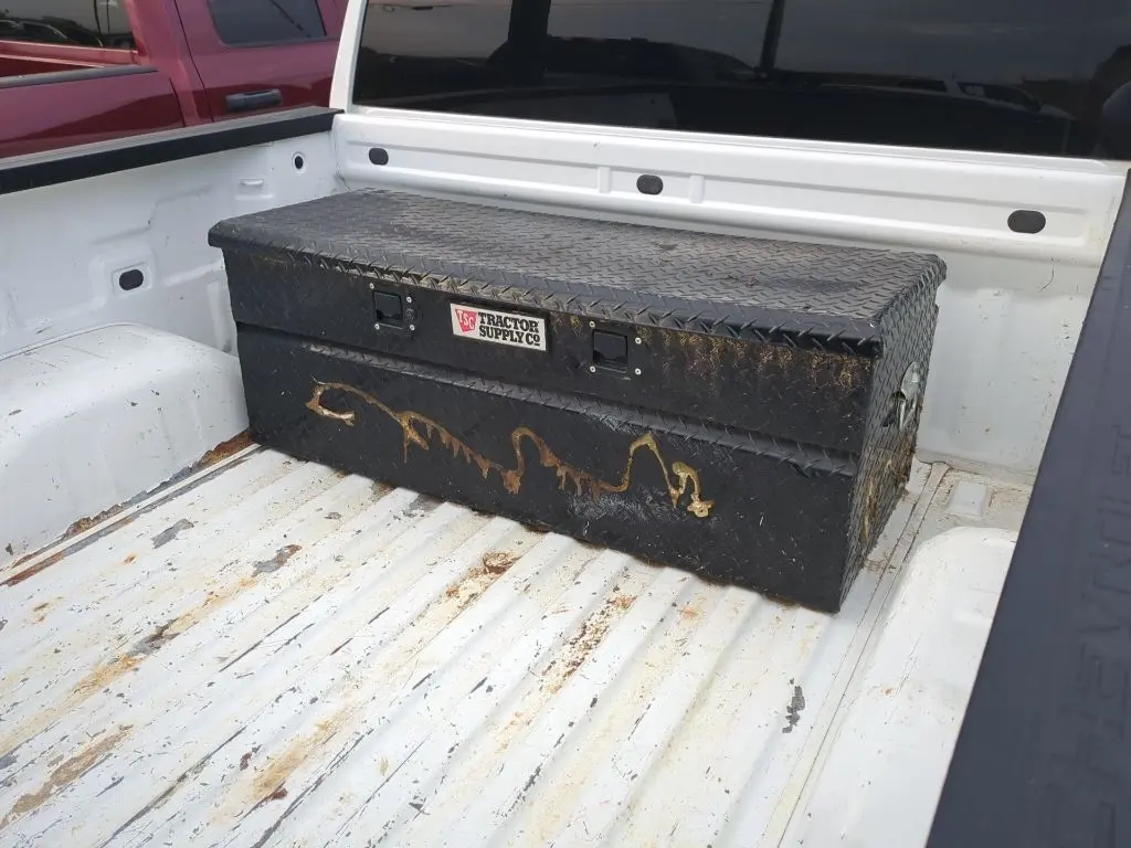 image-7