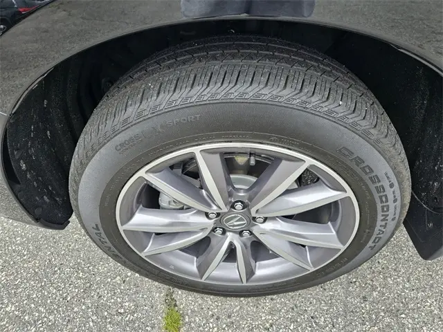 image-19