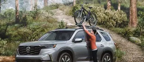 Roof Rails