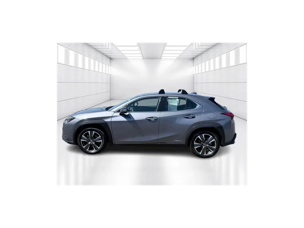 image-2
