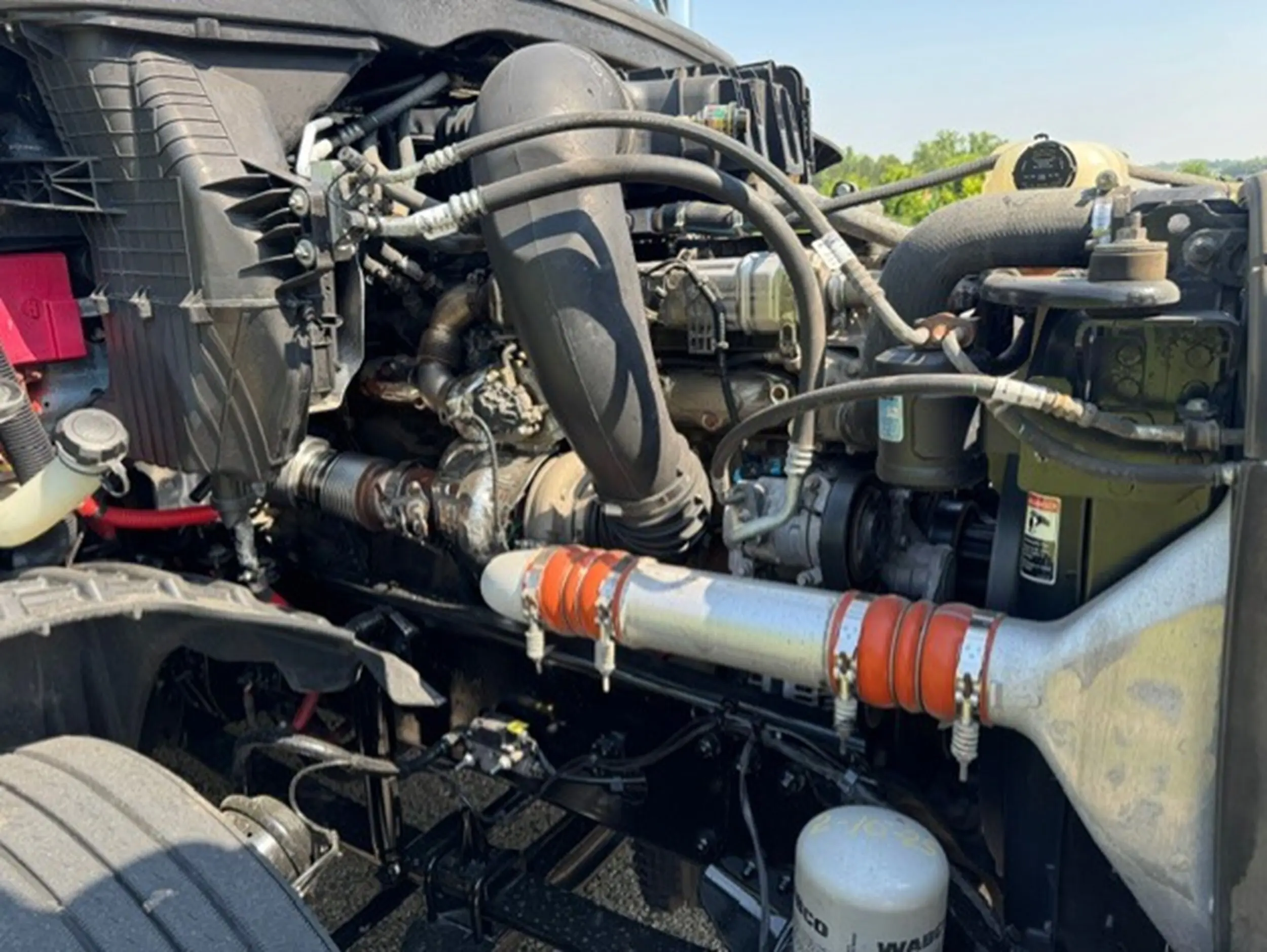 image-12