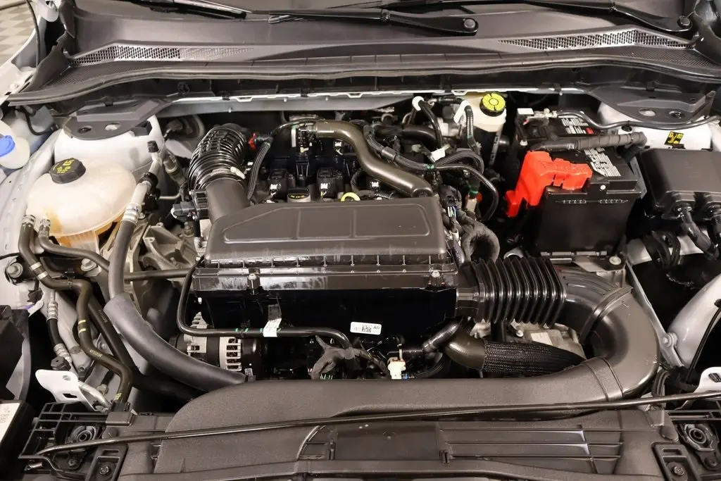 image-19