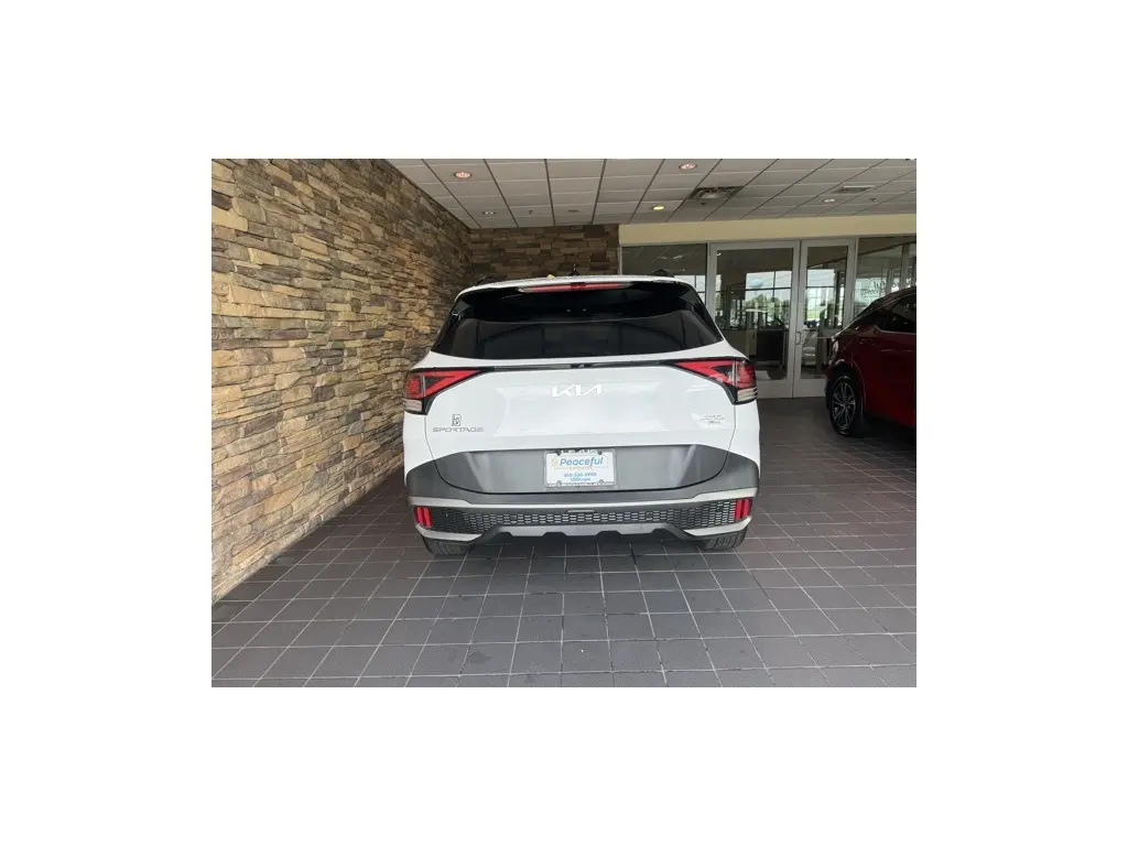 image-10