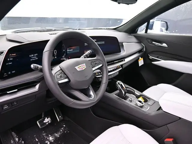image-19