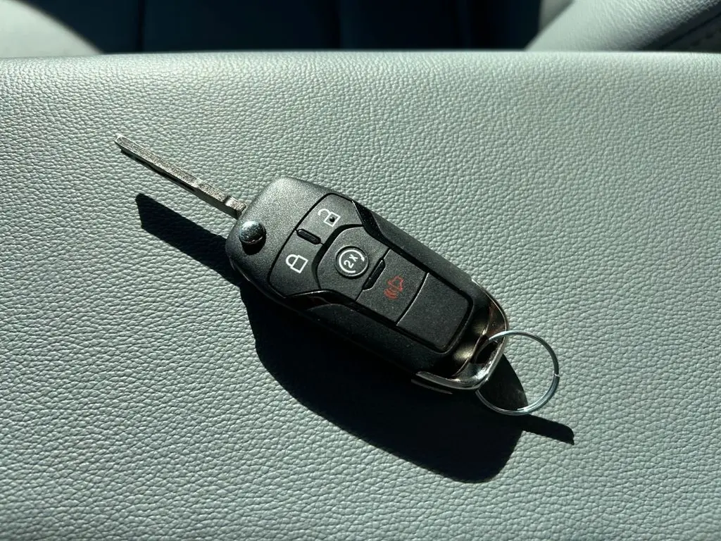 image-15