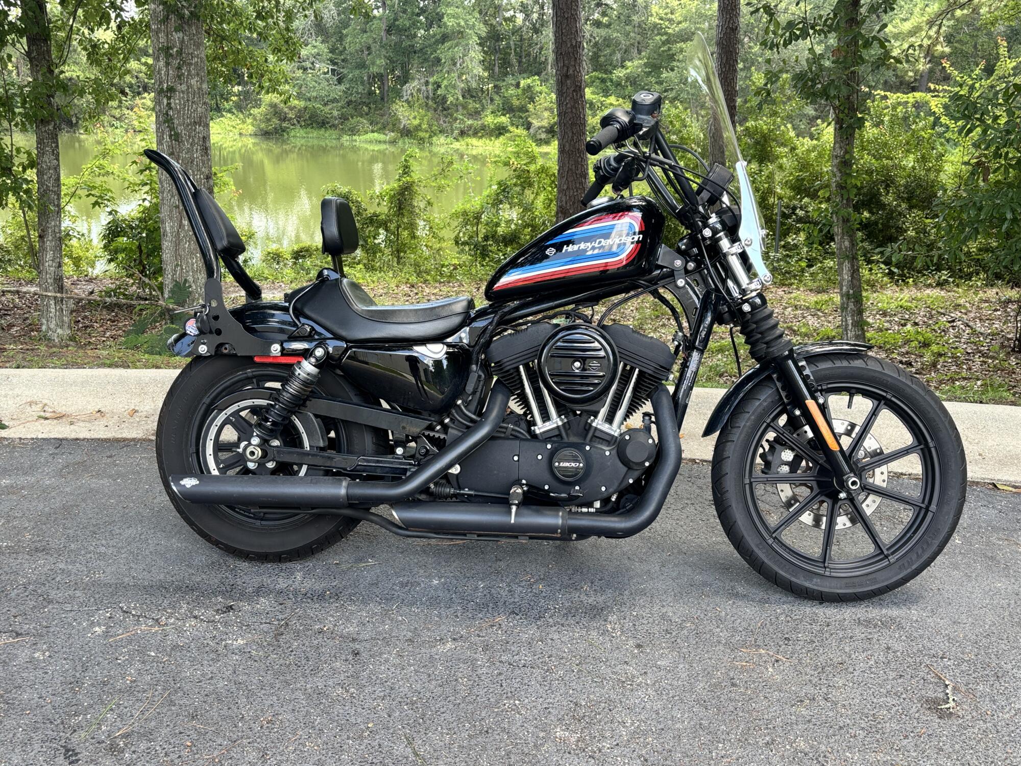 XL 1200NS 2020 Iron 1200™