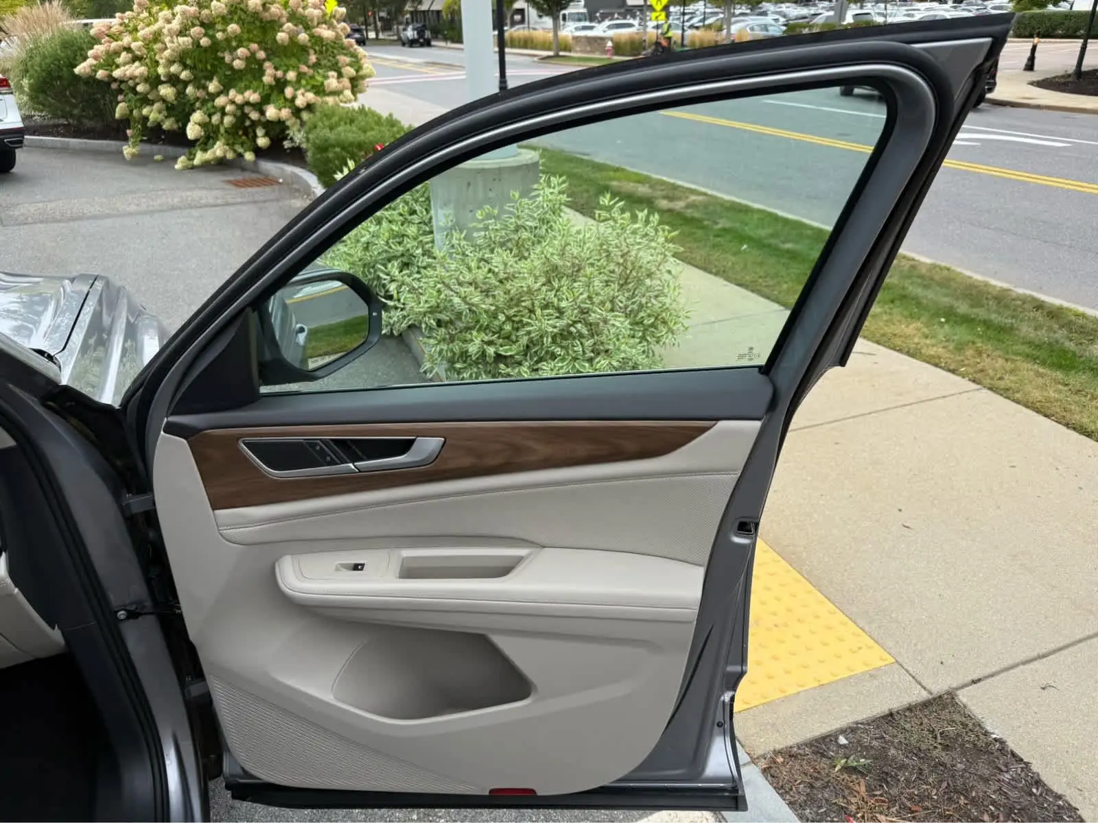 image-19