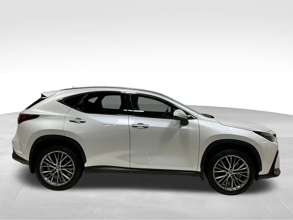 2024 Lexus NX 350 Luxury photo 3