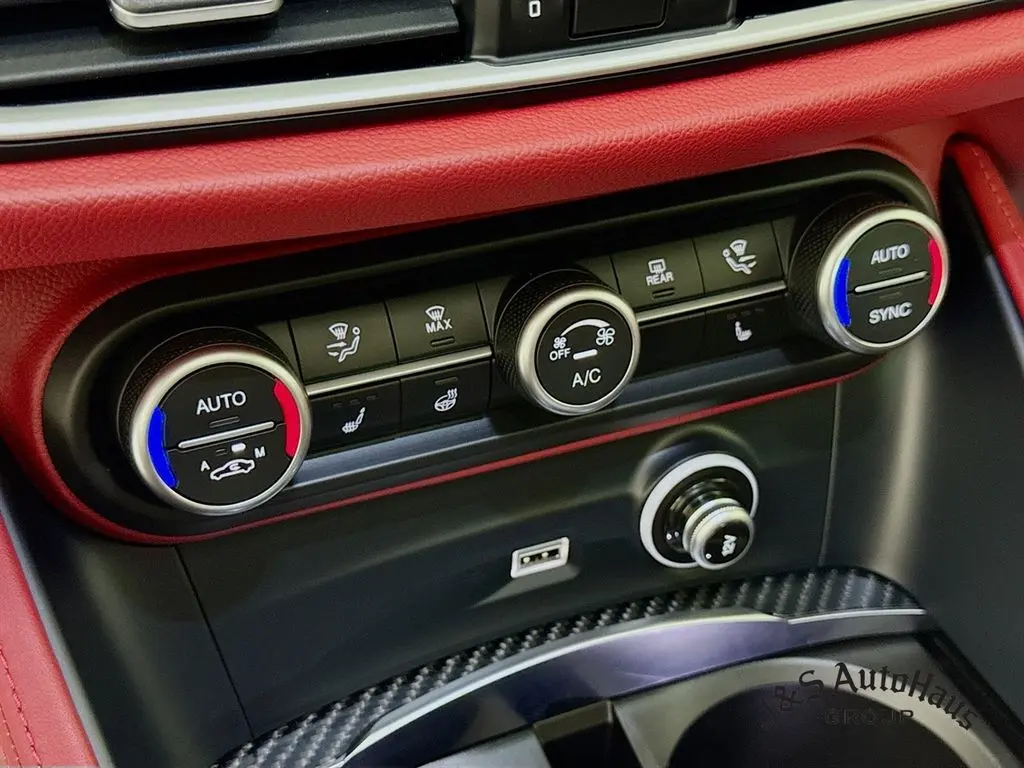 2021 Alfa Romeo Stelvio Quadrifoglio photo 19