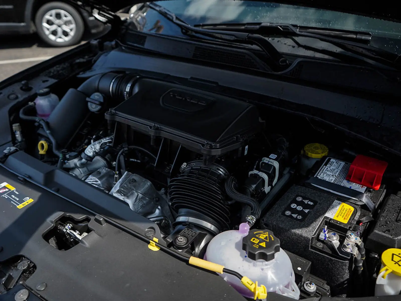 image-5
