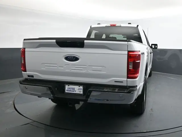 image-7