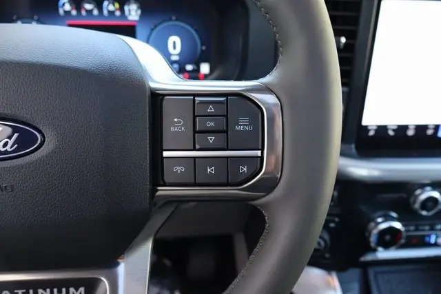 2025 Ford F-150 Platinum photo 29