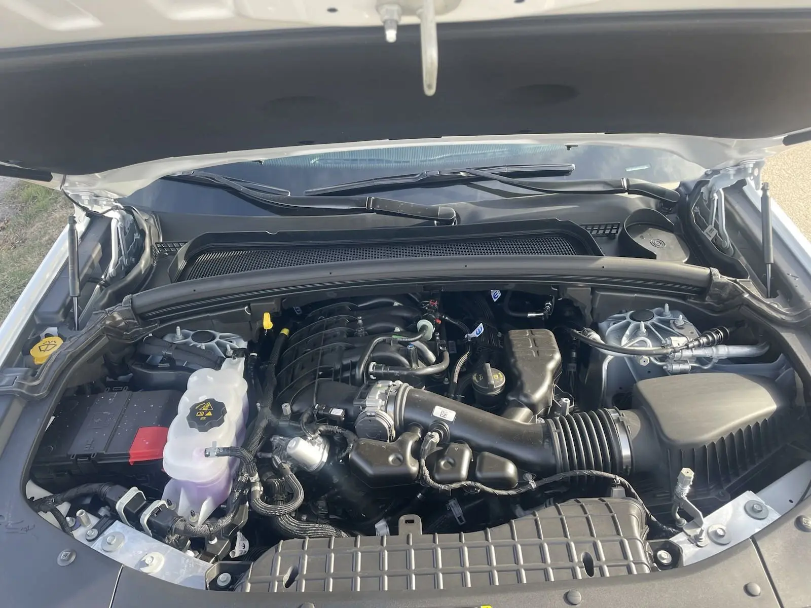 image-8
