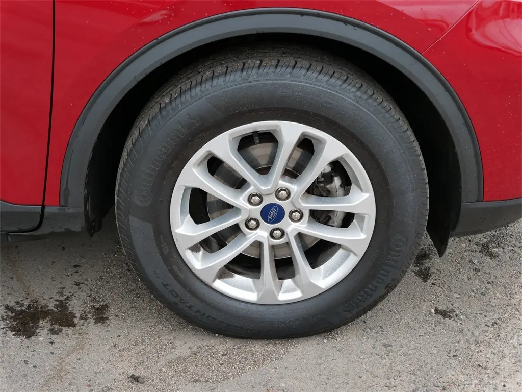 image-6