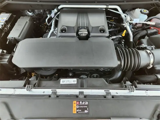 image-19